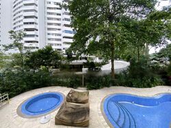 Mount Elizabeth Link (D9), Condominium #484100581